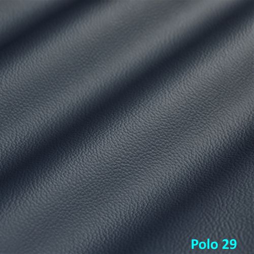Polo 29